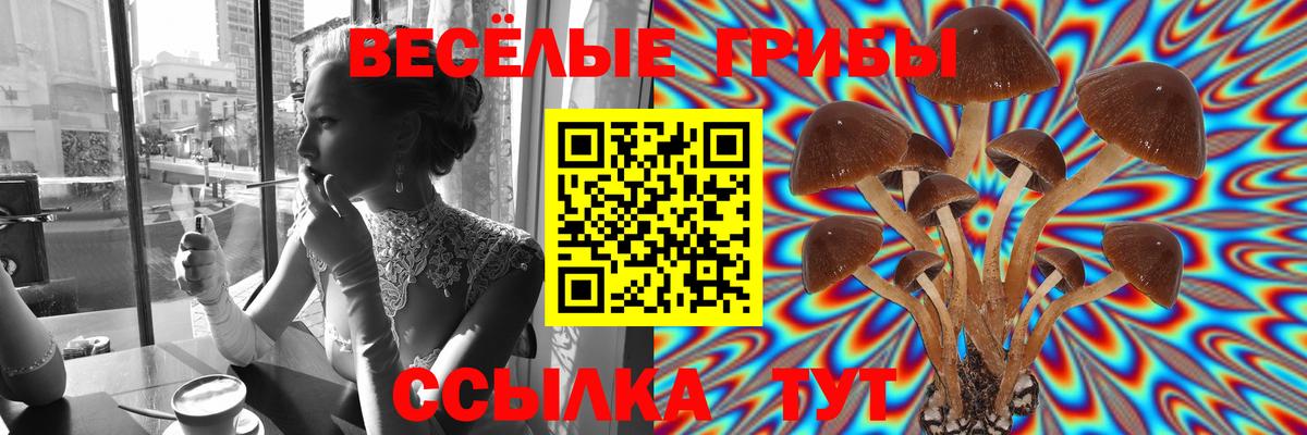 Псилоцибиновые грибы мухоморы Владивосток