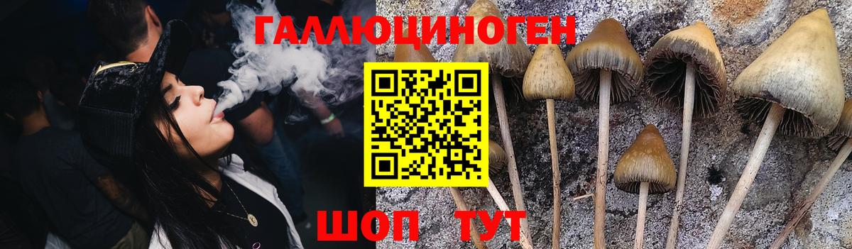 Владивосток  Галлюциногенные грибы Psilocybe  Псилоцибиновые грибы Magic Shrooms  Вход с VPN 